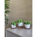 Kit 3 Vasos Com Suporte e Plantas Artificiais Inclusas