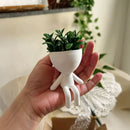 Kit 3 Mini Vasinhos Bob Robert!